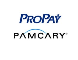 Case Pamcary e Propay: parceria a favor da tecnologia e inovação